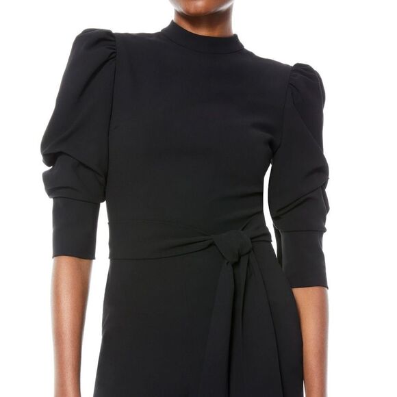 Alice + Olivia ALEXIS TIE WAIST JUMPSUIT-C20 - Picture 3 of 5